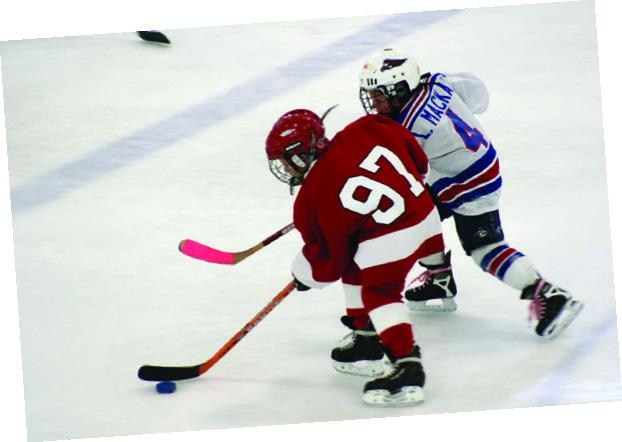 mullet_page_1_image_0003 - Caption: - Credit: mullet_page_1_image_0003